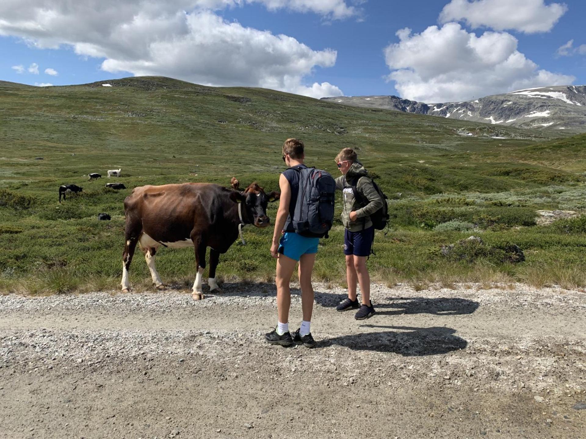 Apartment Geilotunet - Perfekt Beliggenhet, Sentralt, Langs Elven, 6 Personer Geilo