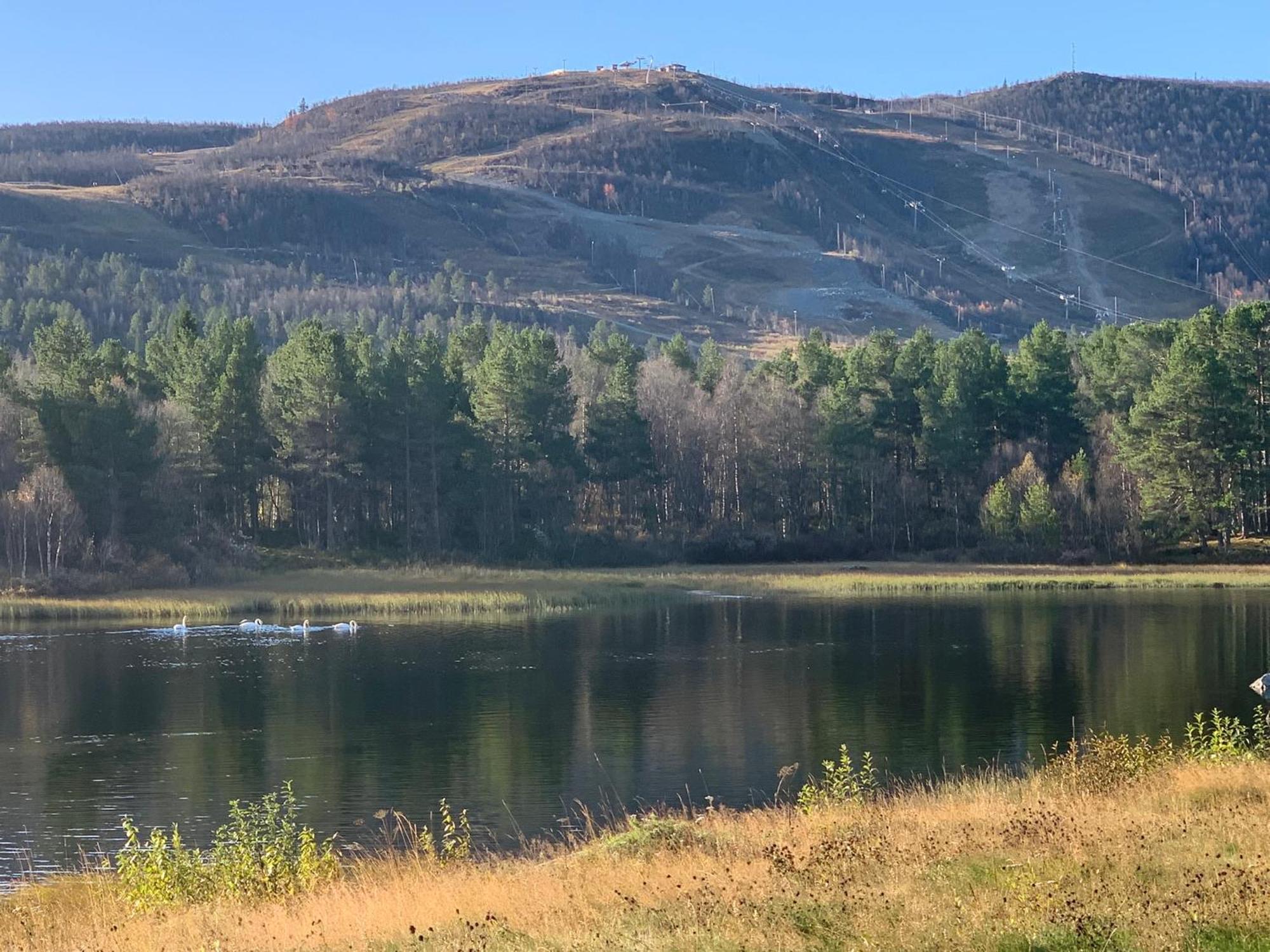 Apartment Geilotunet - Perfekt Beliggenhet, Sentralt, Langs Elven, 6 Personer Geilo